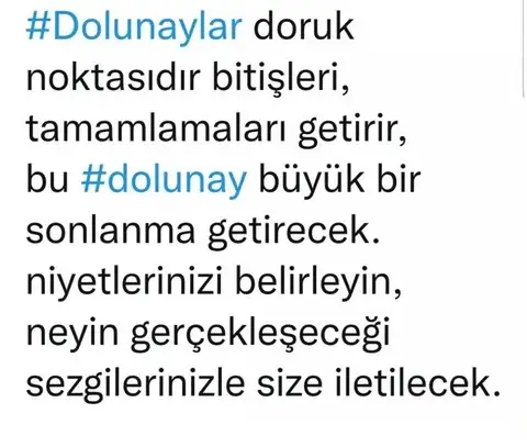 balık30 (2).webp