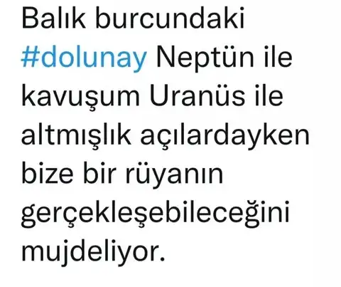balık30 (3).webp