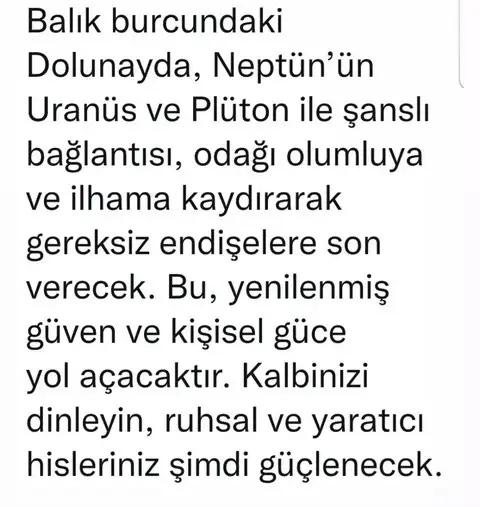 balık30 (4).webp