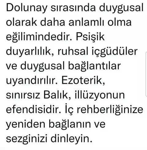 balık30 (7).webp