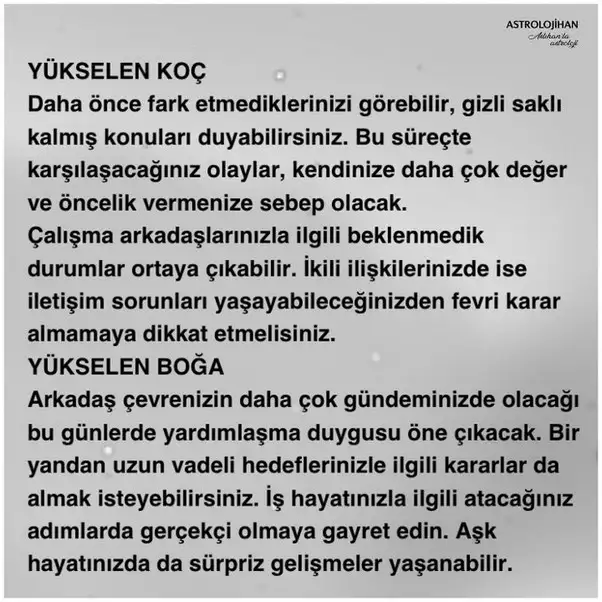 balık31 (1).webp