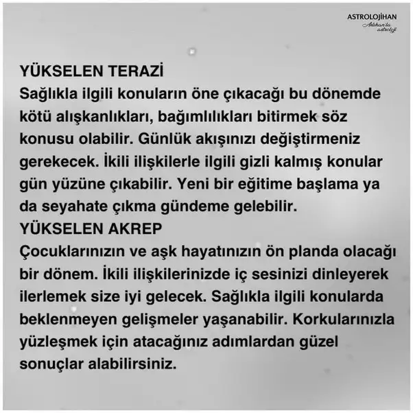 balık31 (4).webp