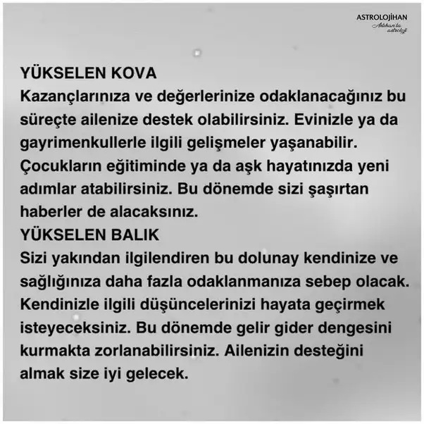 balık31 (6).webp