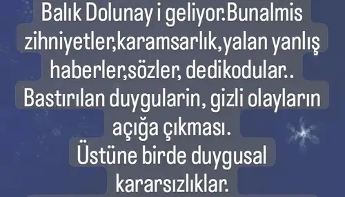 balık31.webp
