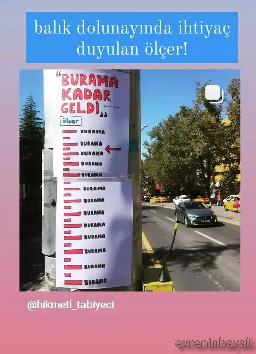 balık33.webp