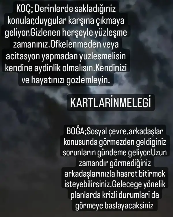 balık34 (1).webp