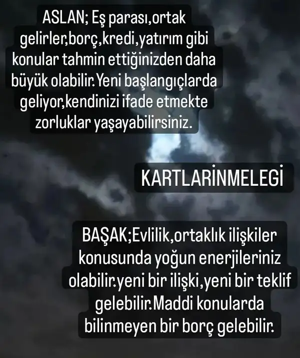 balık34 (3).webp