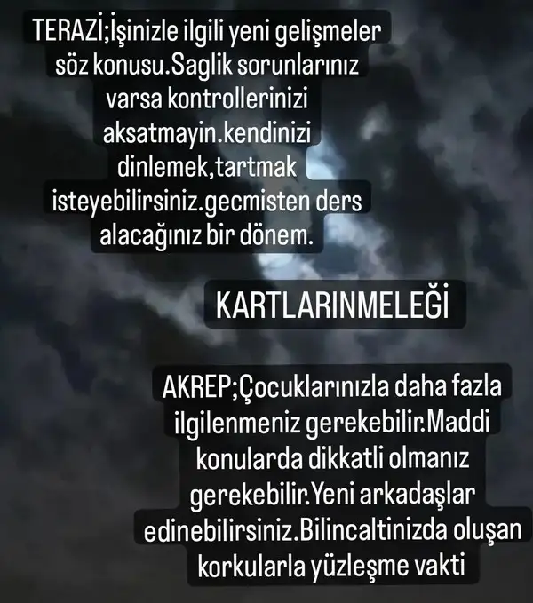balık34 (4).webp