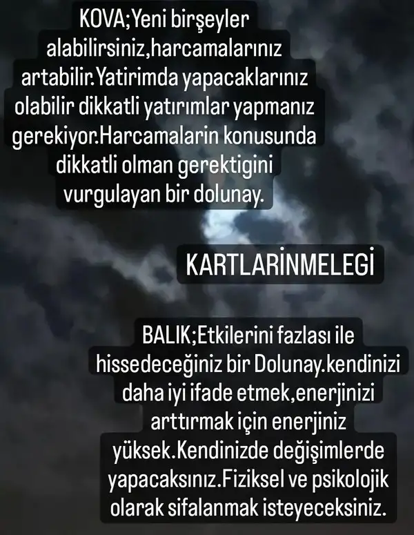 balık34 (6).webp