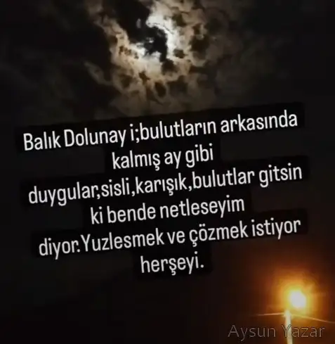 balık35 (1).webp