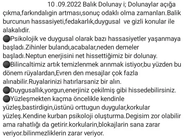 balık35 (2) - Kopya.webp