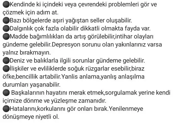balık35 (2).webp