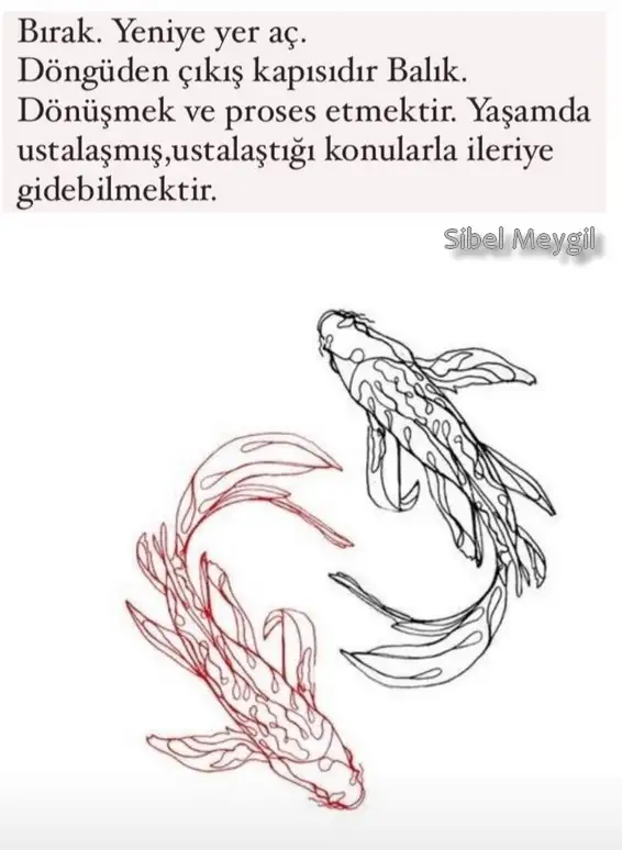 balık38.webp