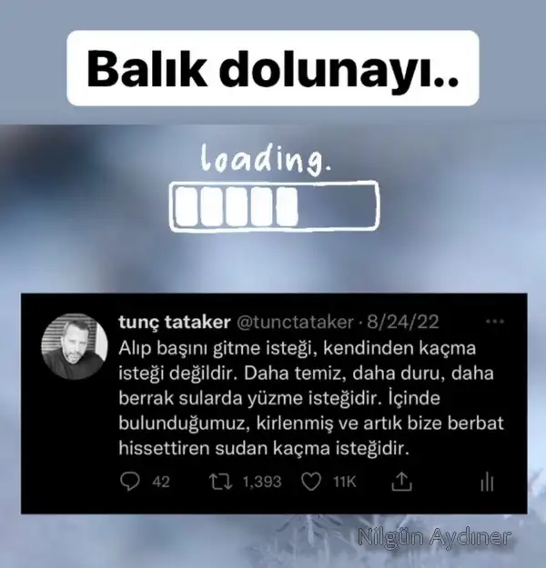 balık39.webp