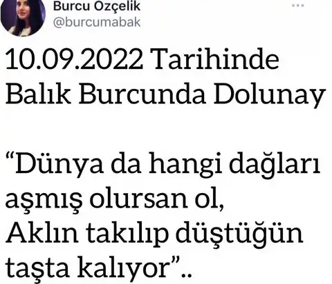 balık4 (1).webp