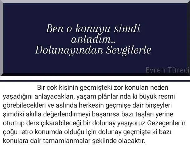 balık4 (1).webp