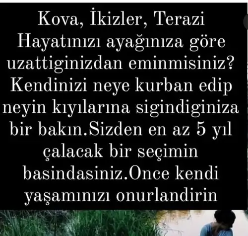 balık4 (2).webp