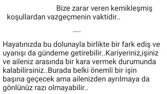 balık4 (2).webp