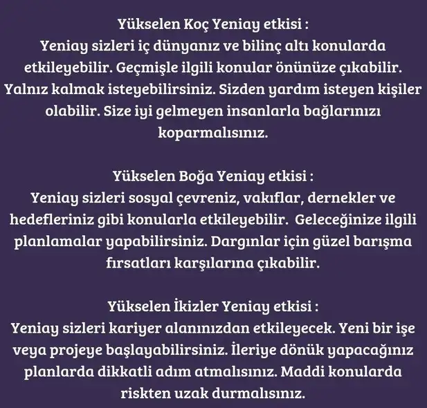 balık4 (2).webp