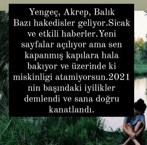 balık4 (3).webp