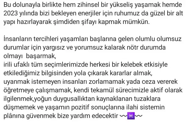 balık4 (3).webp