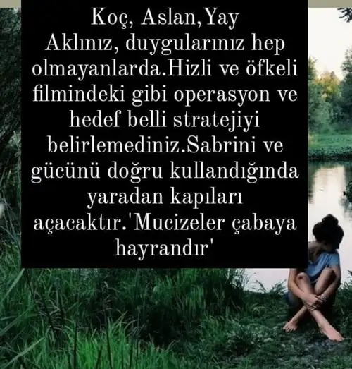 balık4 (4).webp