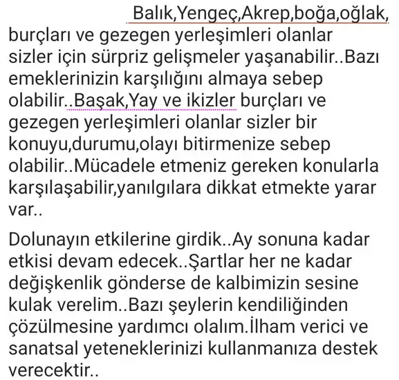 balık4 (4).webp