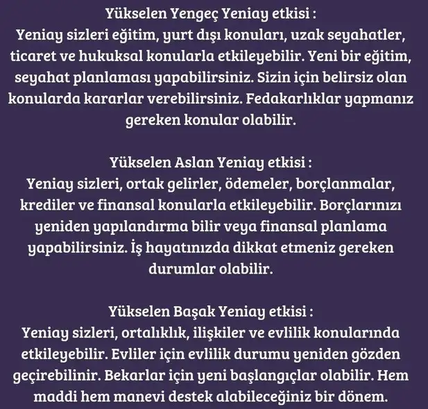 balık4 (4).webp