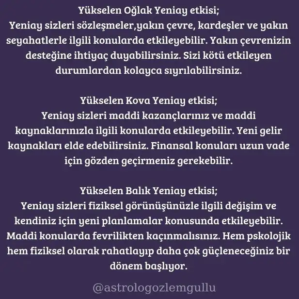 balık4 (7).webp