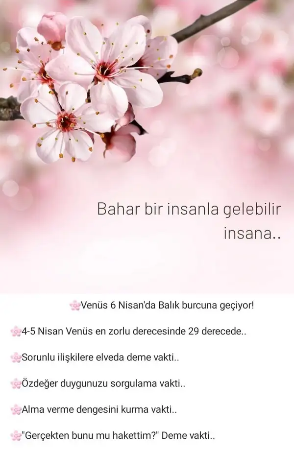 balık4.webp