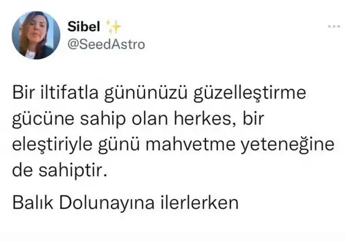 balık4.webp