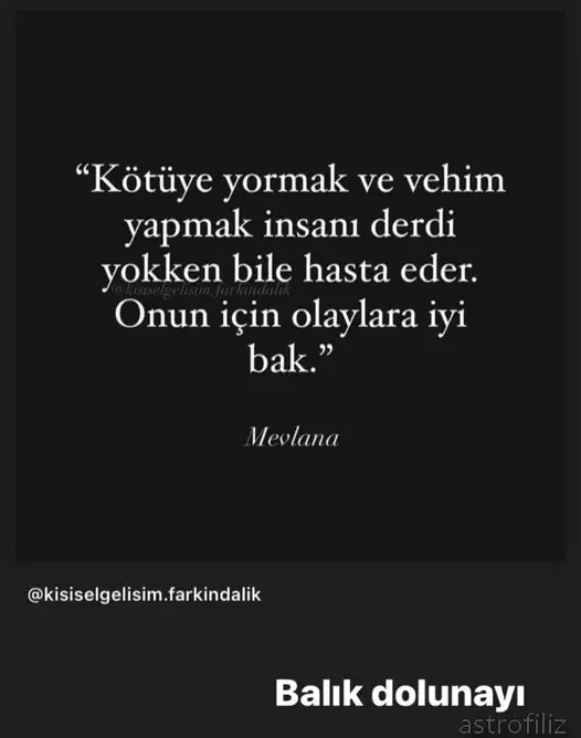 balık4.webp