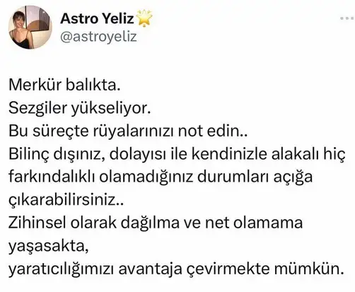 balık4.webp