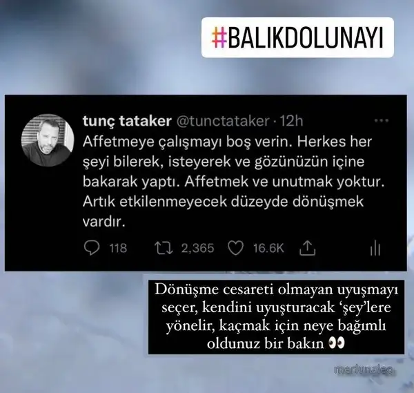 balık40.webp