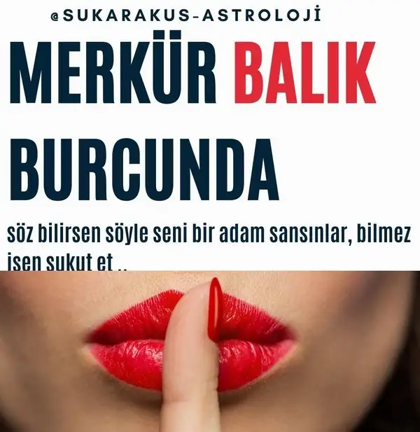 balık41 (1).webp