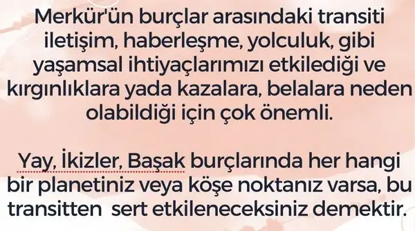 balık41 (2).webp