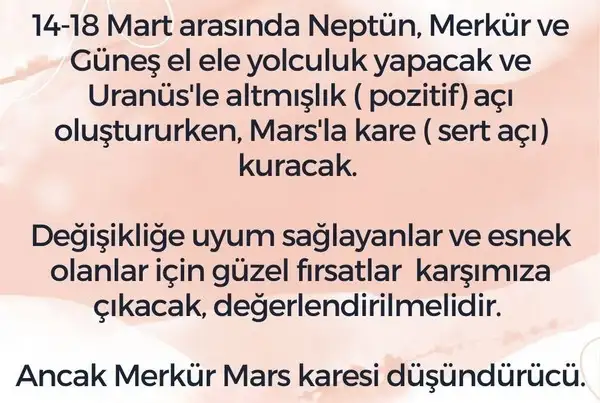 balık41 (3).webp