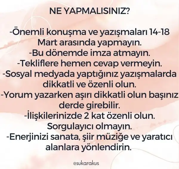 balık41 (5).webp