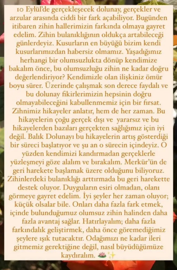 balık41.webp