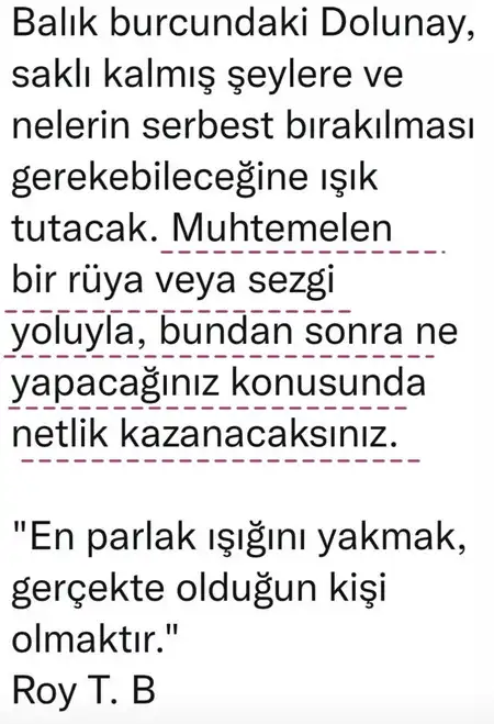 balık42 (2).webp