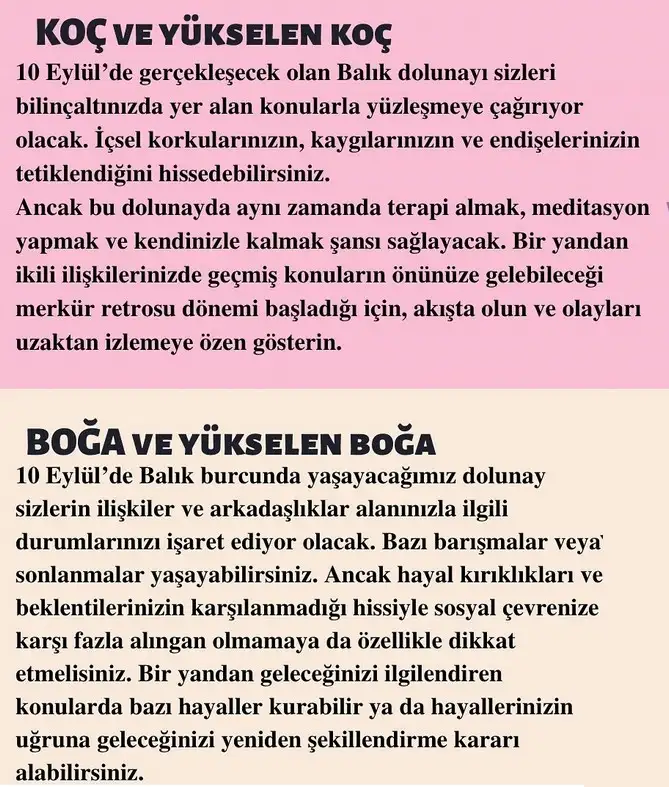 balık43 (1).webp