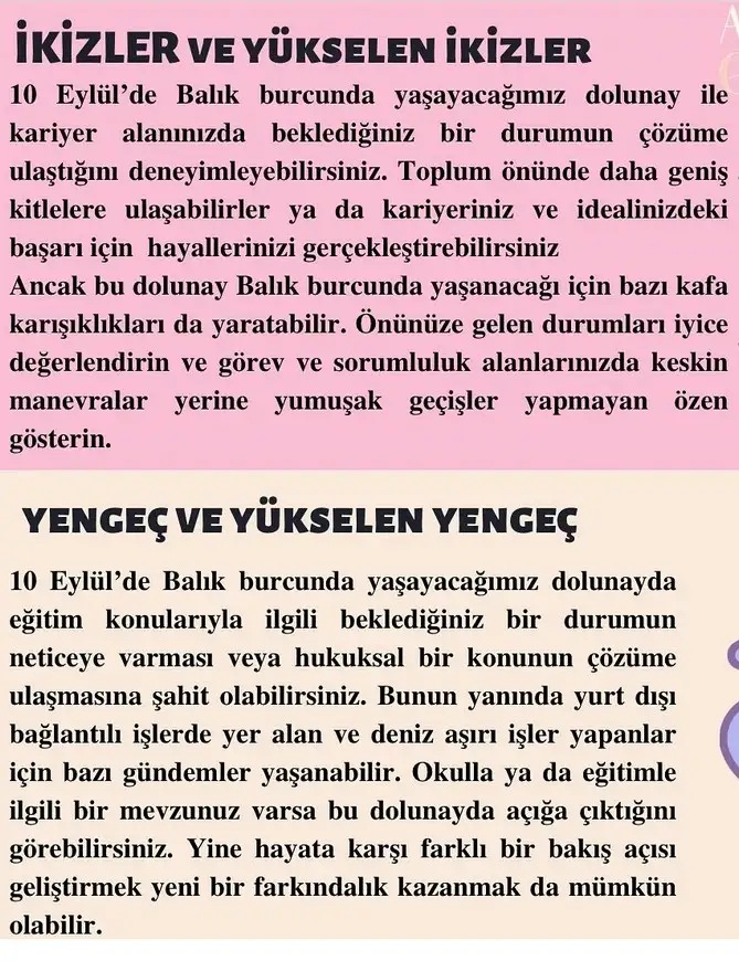 balık43 (2).webp