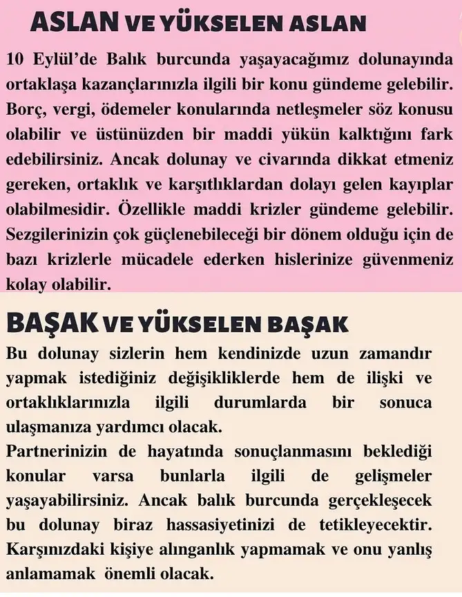 balık43 (3).webp