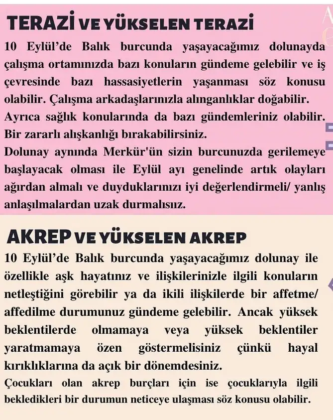 balık43 (4).webp
