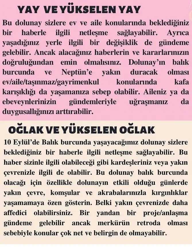 balık43 (6).webp