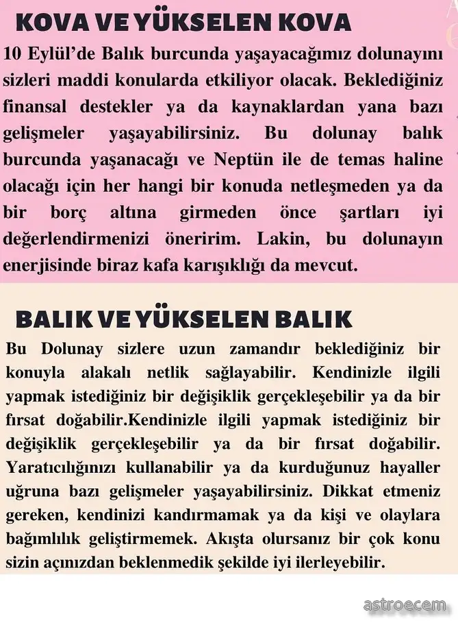 balık43 (7).webp