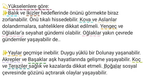 balık45 (2).webp