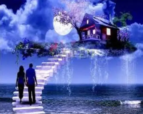 balık46 (1).webp