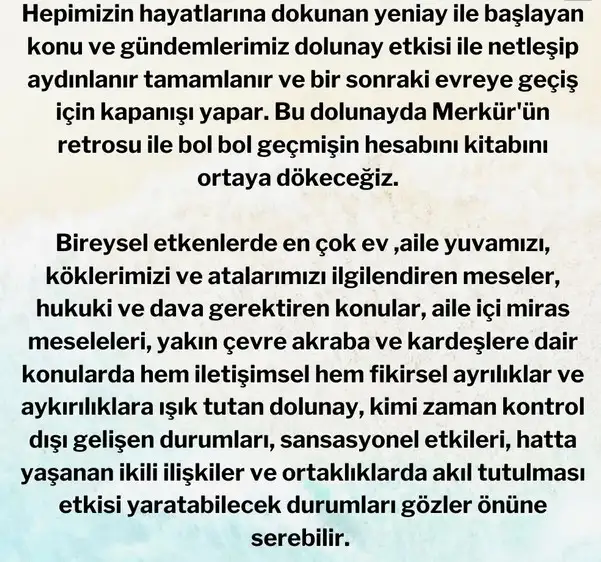 balık47 (5).webp