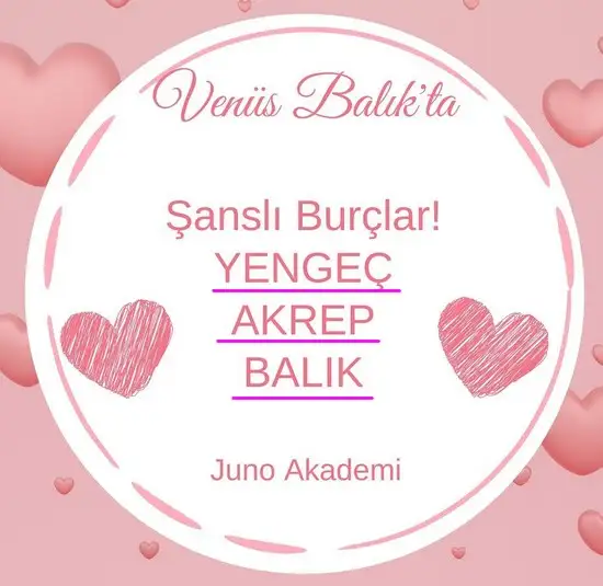 balık4a (1).webp